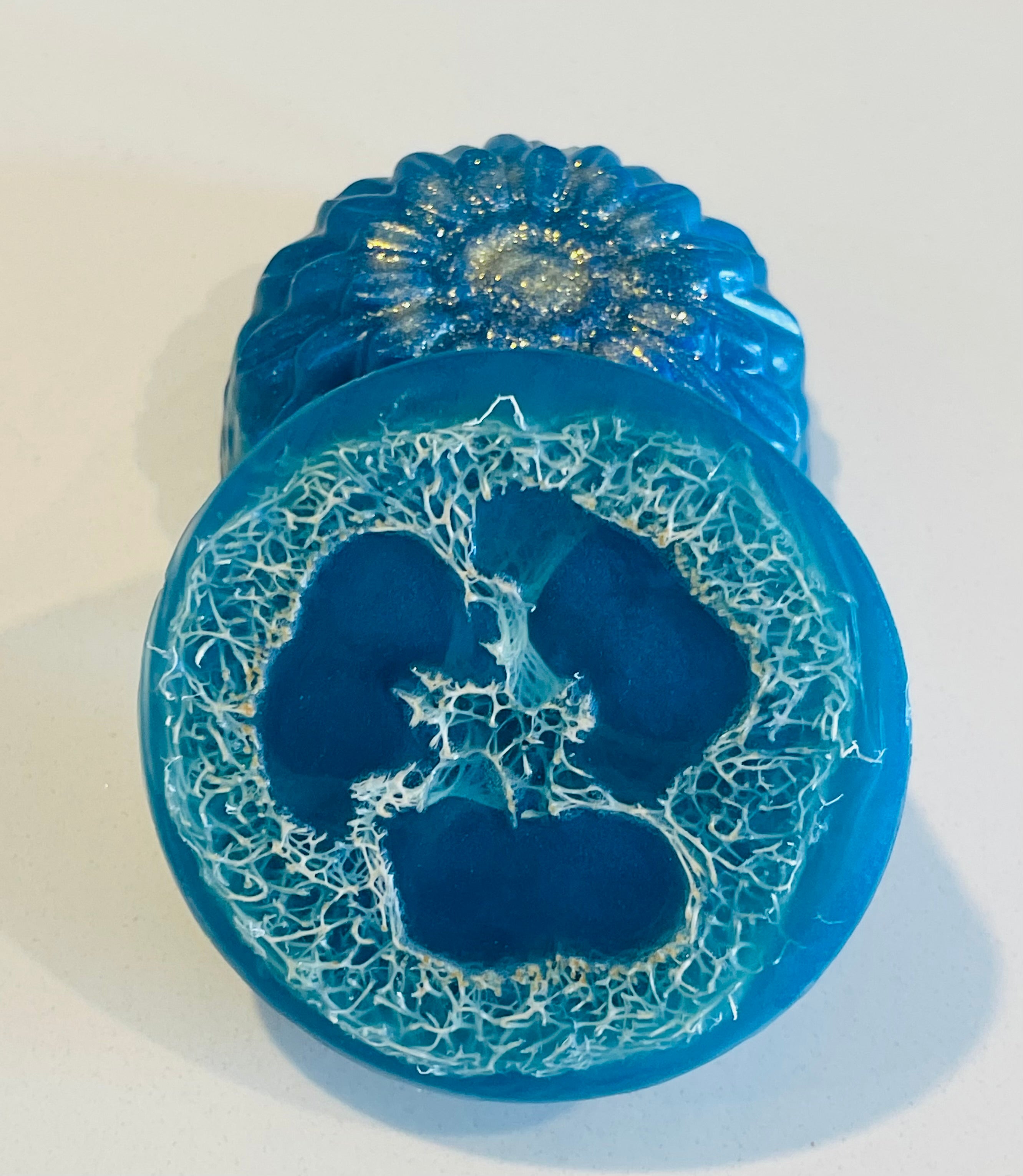 Loofah Soap Bar