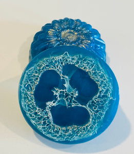 Loofah Soap Bar