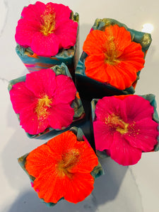 Hawaiian Hibiscus Soap Bar